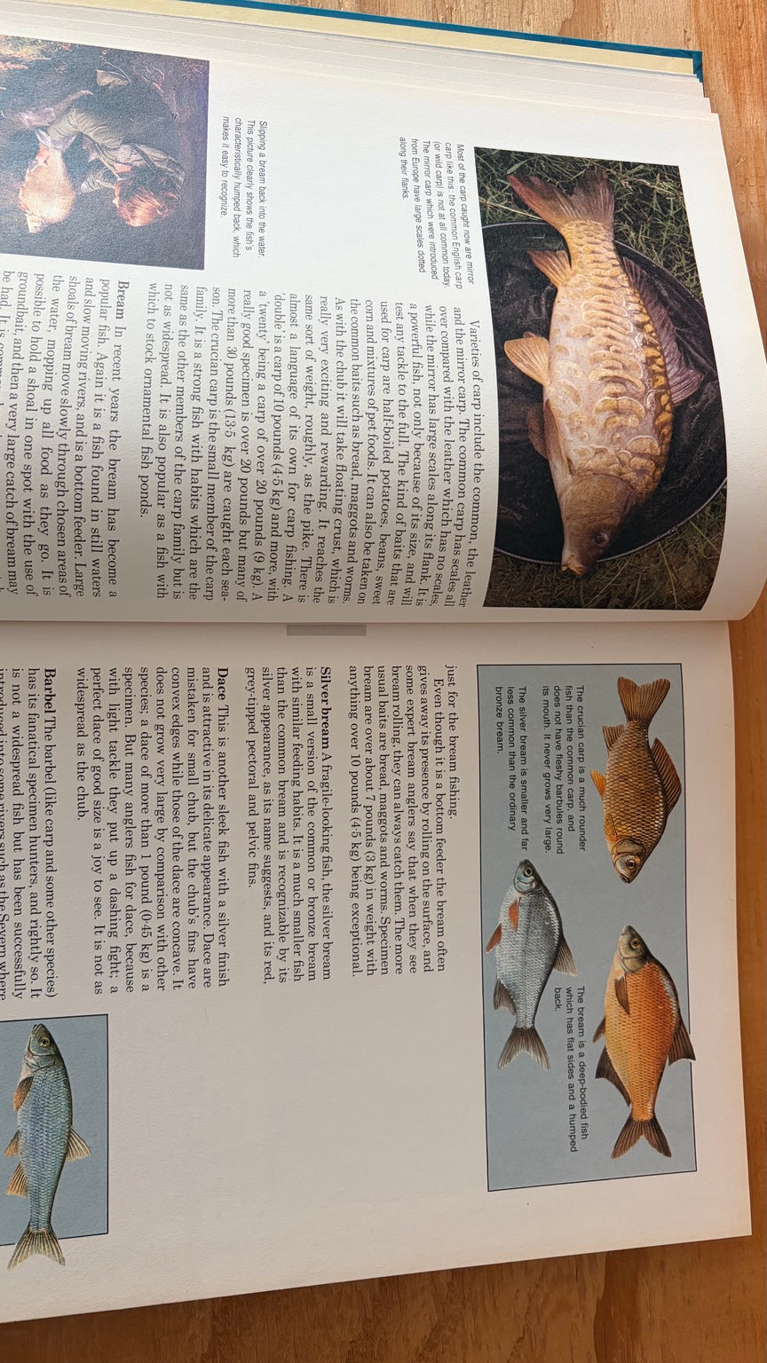 Fishing Techniques Tackle Tips by Brian Furzer illustrated inside pages